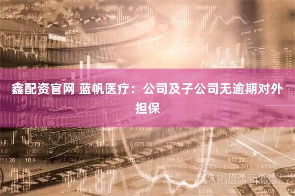 鑫配资官网 蓝帆医疗：公司及子公司无逾期对外担保