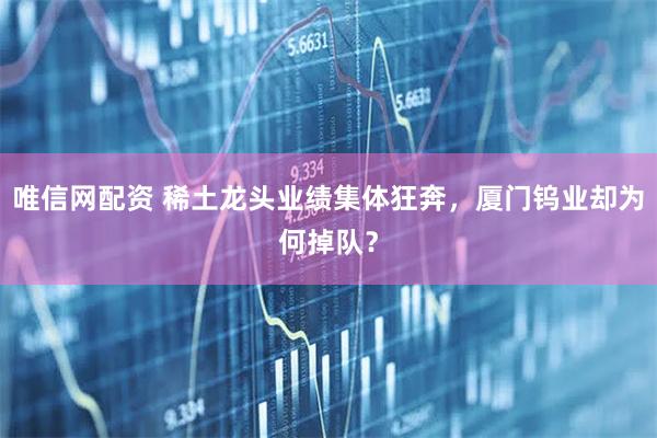 唯信网配资 稀土龙头业绩集体狂奔，厦门钨业却为何掉队？